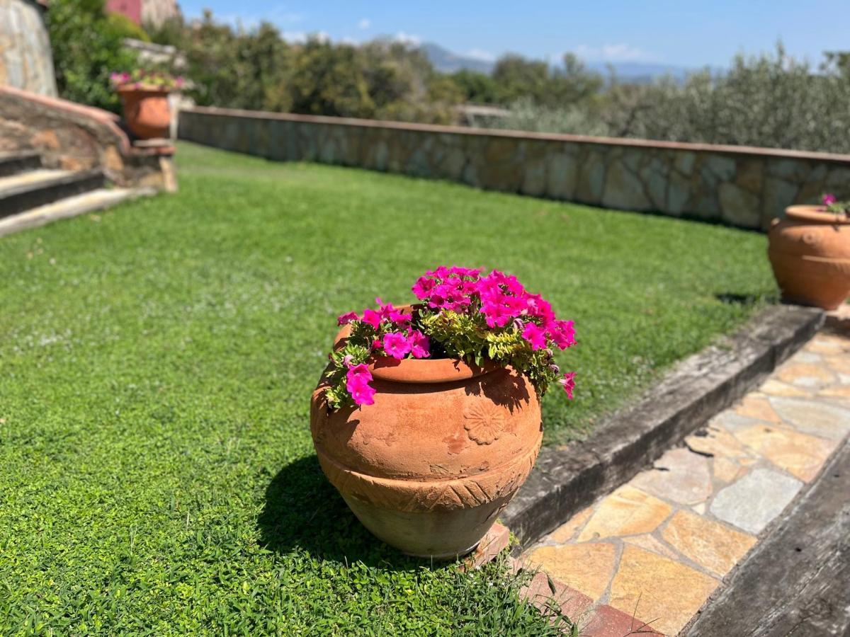 Masia Can Viver - Olive Oil Tourism B&B Bigues I Riells Exteriér fotografie