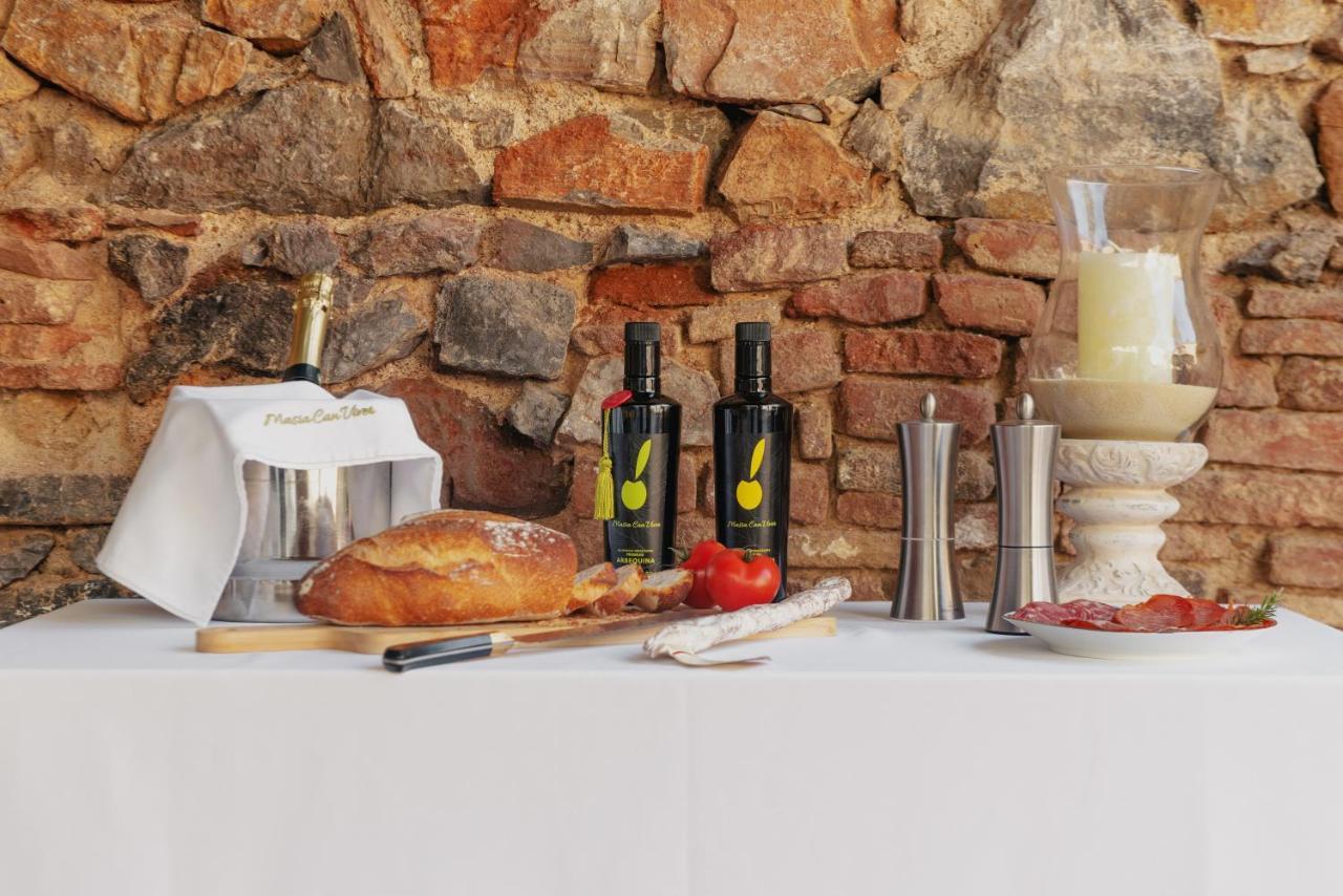Masia Can Viver - Olive Oil Tourism B&B Bigues I Riells Exteriér fotografie