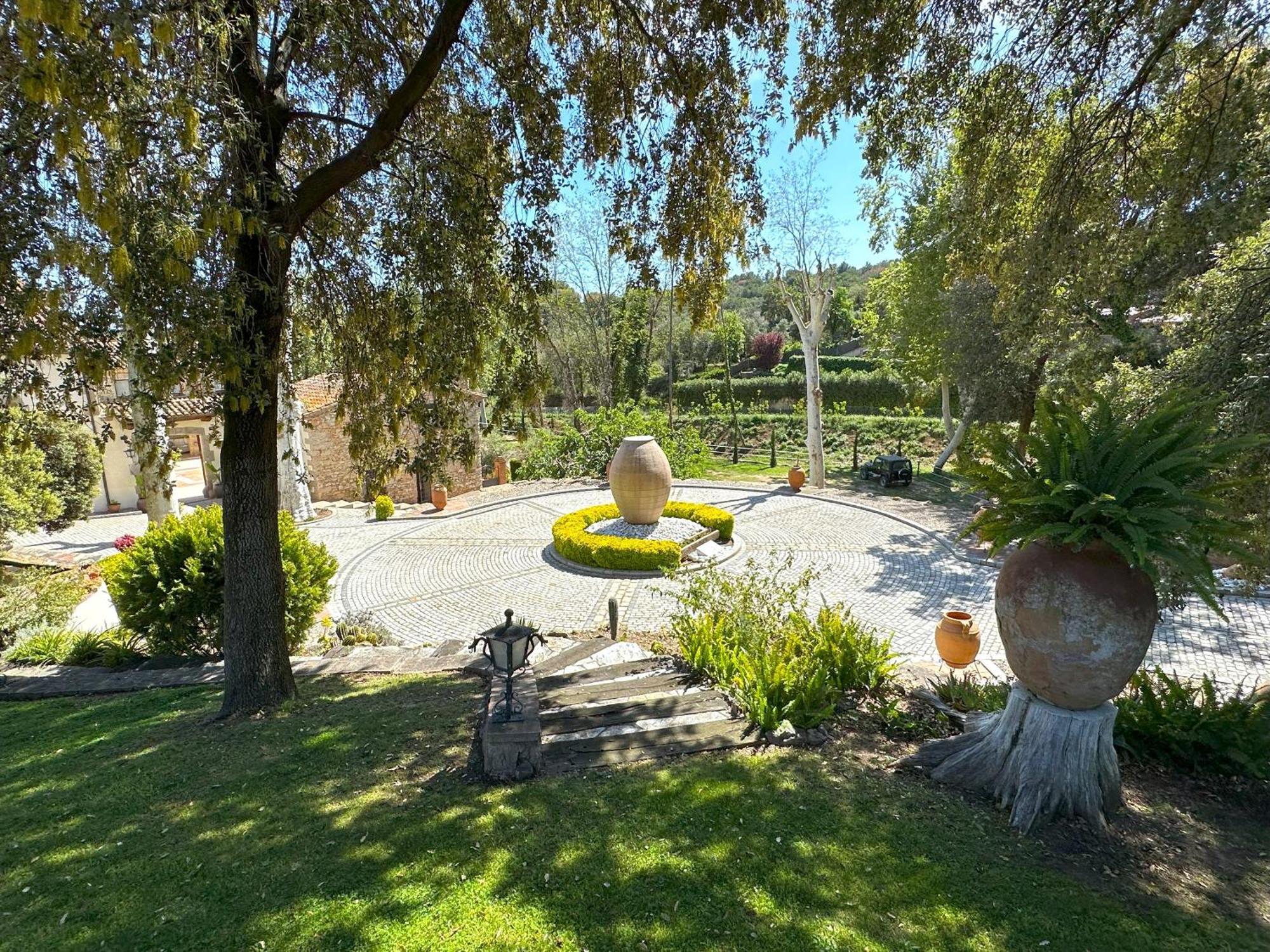Masia Can Viver - Olive Oil Tourism B&B Bigues I Riells Exteriér fotografie