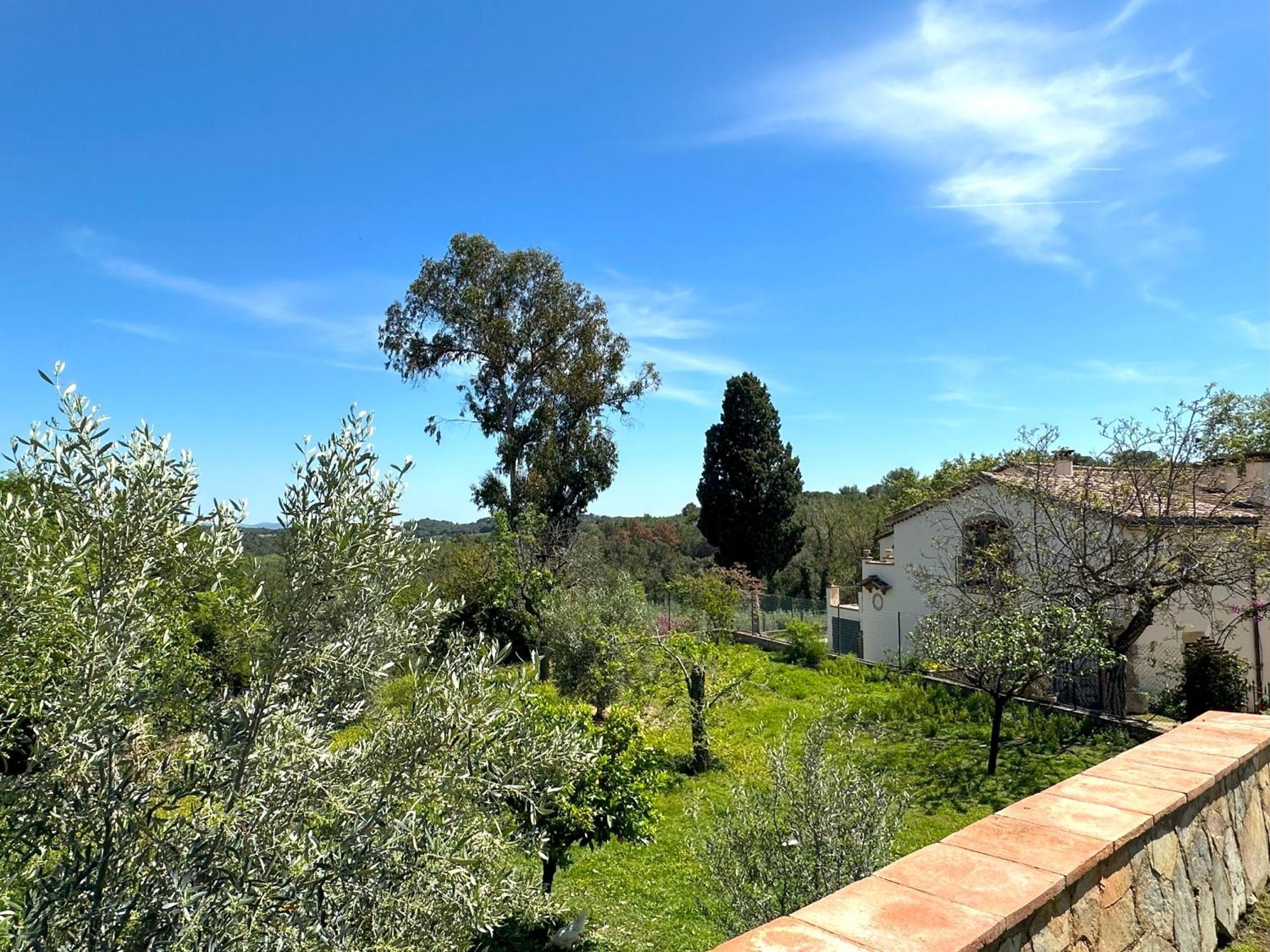Masia Can Viver - Olive Oil Tourism B&B Bigues I Riells Exteriér fotografie
