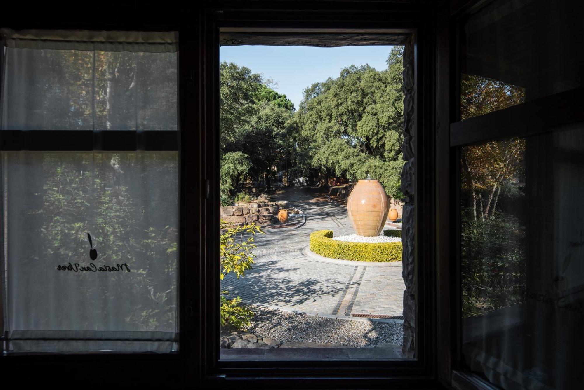Masia Can Viver - Olive Oil Tourism B&B Bigues I Riells Pokoj fotografie